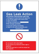 Gas Leak Action